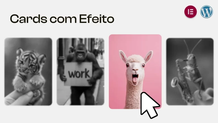 Imagem post Efeito Hover em Cards